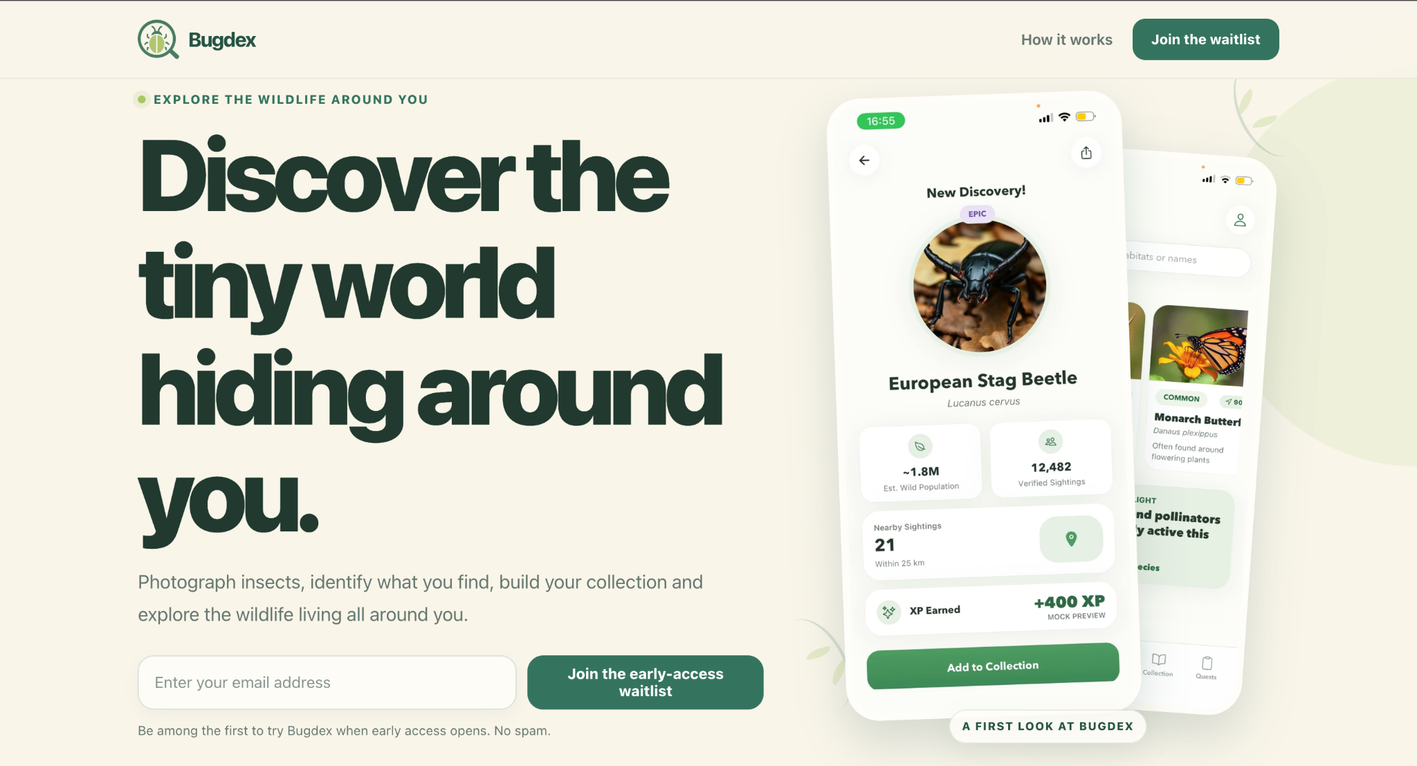 Bugdex waitlist website preview